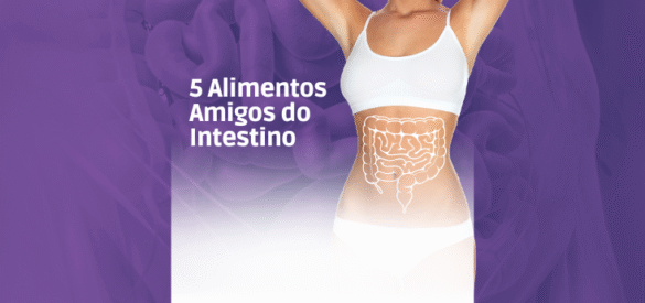 intestino