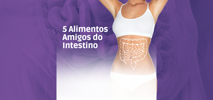 intestino